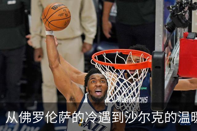 从佛罗伦萨的冷遇到沙尔克的温暖，戈森斯的足球奇遇记